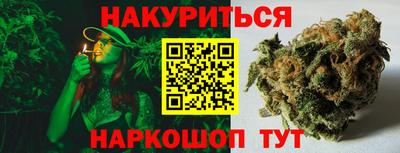 гидра Новодвинск