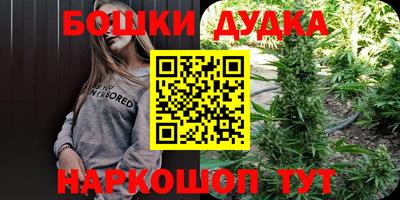 марки lsd Новозыбков